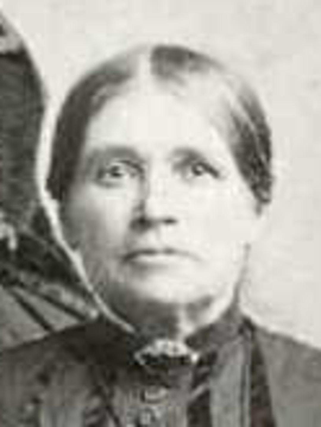 Jane Williams (1829 - 1894) Profile